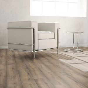 HISTORIC EARTH-ambiente