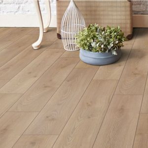 ROBLE MONGOL AMBIENTE